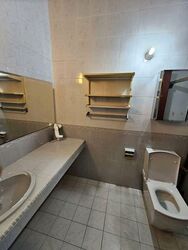 Neo Pee Teck Lane (D5), Semi-Detached #576489761